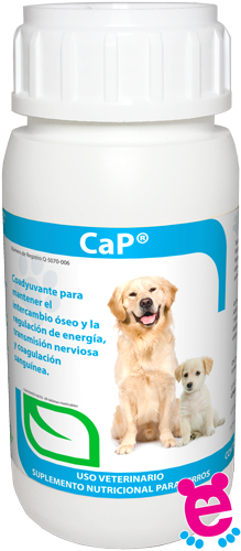 CaP